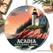 Vintage Acadia National Park Ornament, Maine Lighthouse Christmas Gift and Coastal New England Souvenir